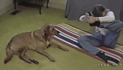 垃圾，看我的爆笑gif搞笑图片