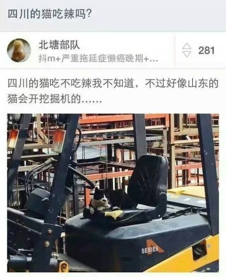 山东的猫会开挖掘机爆笑gif搞笑图片