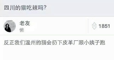 温州的猫是啥样的·爆笑gif搞笑图片
