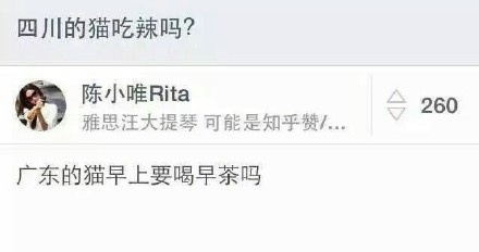 广东的毛早上要喝早茶吗爆笑gif搞笑图片