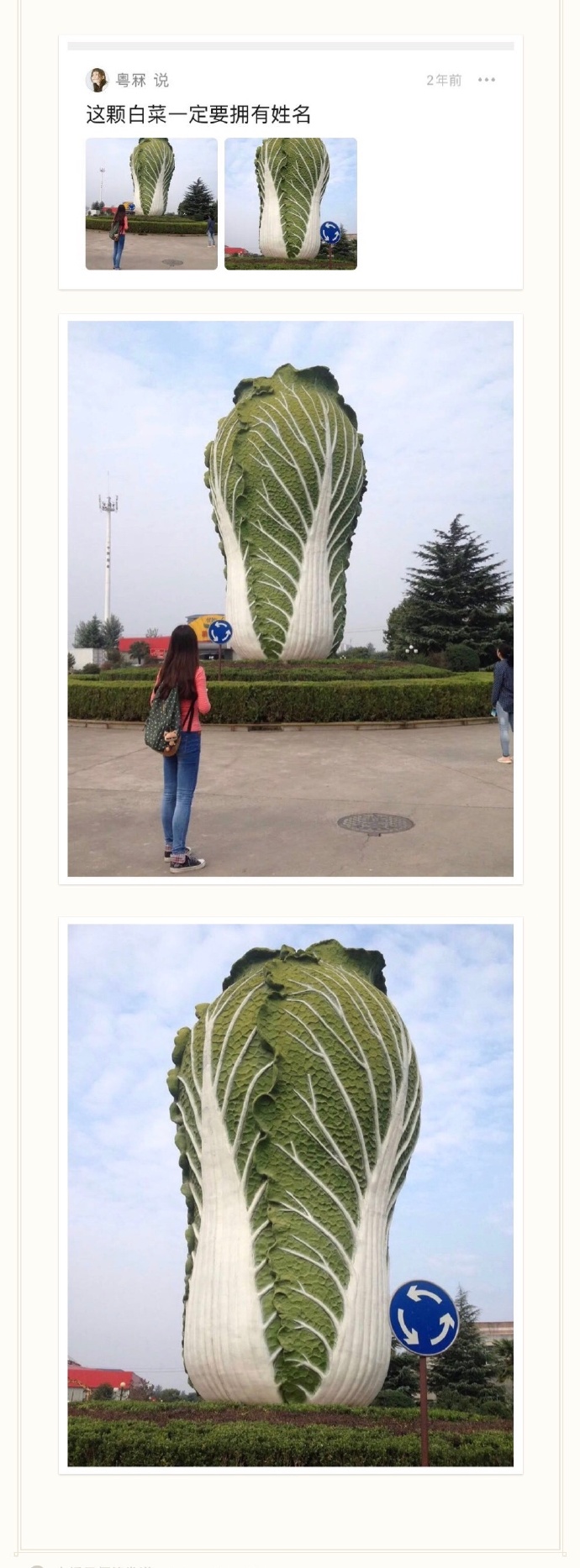这颗白菜一定拥有姓名爆笑gif搞笑图片