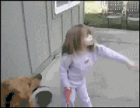 狗狗，捡回来爆笑gif搞笑图片