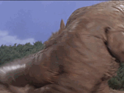 初代奥特曼中不解情节,和怪兽对打时不爆笑gif搞笑图片