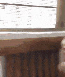 美女人家是来打饭,你是来搞笑的吗爆笑gif搞笑图片