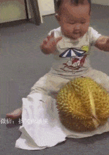榴莲无从下手的小胖子,哈哈哈~好萌好可爱爆笑gif搞笑图片