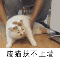 肥猫扶不上墙爆笑gif搞笑图片