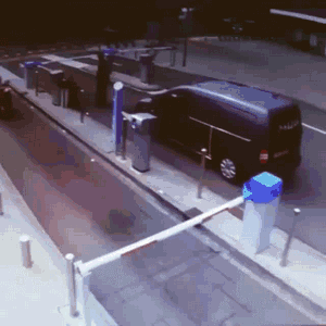 速度70迈，心情是自由自在~爆笑gif搞笑图片