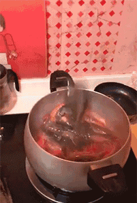 我进来了~我又出来了~  我又进来了~怎样你炸我啊~爆笑gif搞笑图片