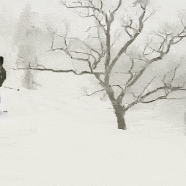 谁TM在这儿种了棵树爆笑gif搞笑图片