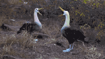哈哈哈哈哈  拌嘴拌嘴  原来是这么来的啊爆笑gif搞笑图片