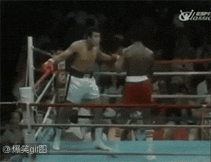 看这灵活的闪转腾挪，好贱的拳击手。。。爆笑gif搞笑图片