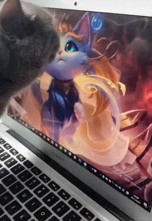 宝，我真不是舔狗！爆笑gif搞笑图片