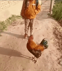 这就是我上学迟到的原因，说出来  老师会信吗？爆笑gif搞笑图片