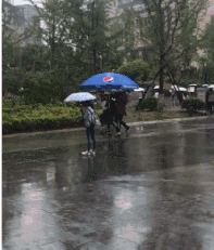 人与人之间的距离，或许就是差一把大伞吧爆笑gif搞笑图片