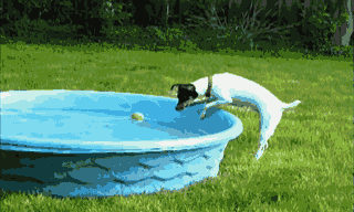 有时不是你不够努力，而是你努力的方式不对爆笑gif搞笑图片