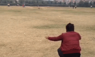 当你的宠物向你...奔来时爆笑gif搞笑图片