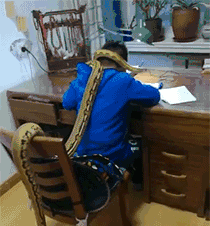 一边玩去，我做完作业再陪你玩爆笑gif搞笑图片