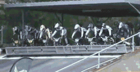 各就各位，预备..你们这是在逗我玩儿么..爆笑gif搞笑图片