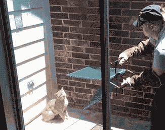 让你看看敏捷属性爆笑gif搞笑图片