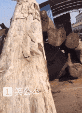 木头：我竟然被拉到木头屠宰场来了，吓尿我了爆笑gif搞笑图片