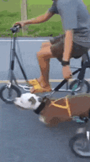 这这车动力很足，有推背感！爆笑gif搞笑图片