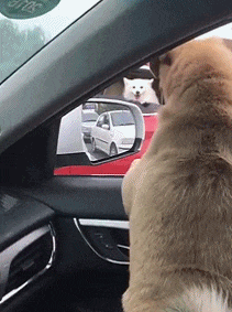 哇哦，有个白富美哦！喂，约吗？爆笑gif搞笑图片