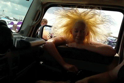 金毛狮王笑死我了爆笑gif搞笑图片