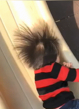 你是溜到高压线了么宝贝爆笑gif搞笑图片