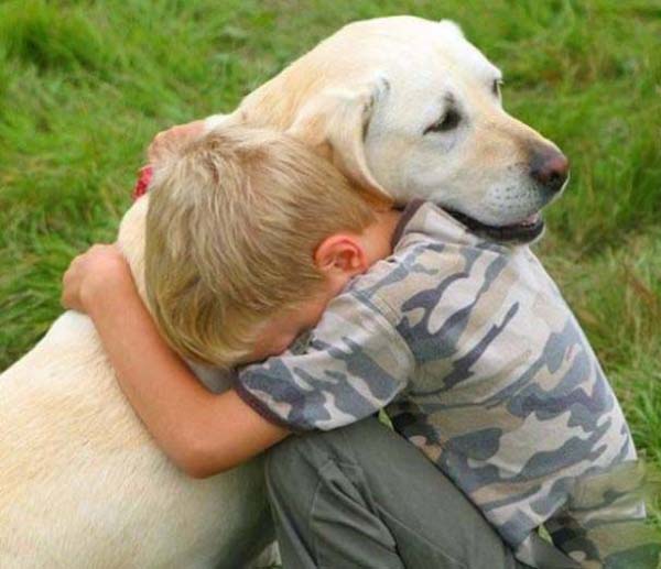 小孩和狗拥抱求安慰图片爆笑gif搞笑图片