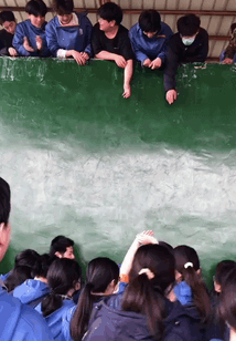 一个胖子就得牺牲一条裤子爆笑gif搞笑图片