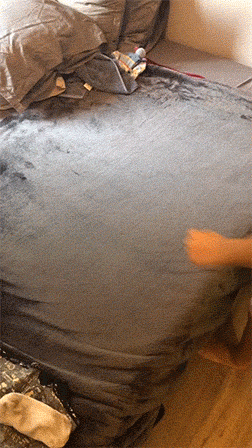 我赶紧在床上试了试爆笑gif搞笑图片