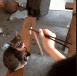 晃啥晃，拿来吧你爆笑gif搞笑图片