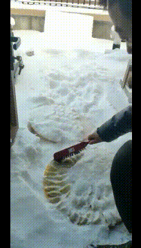 北方这样冻饺子爆笑gif搞笑图片