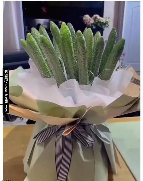 这么别致的花束,还真是第一次见爆笑gif搞笑图片