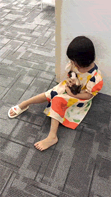 她只是觉得拖鞋好看而已爆笑gif搞笑图片