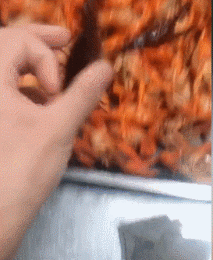 我跟它们都很熟的爆笑gif搞笑图片