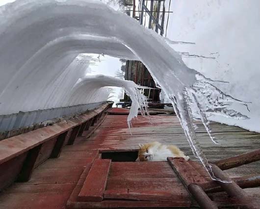 咦，瞧什么呢爆笑gif搞笑图片