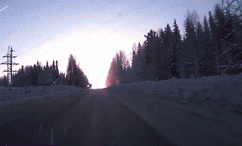 迎着阳光开车同样危险爆笑gif搞笑图片