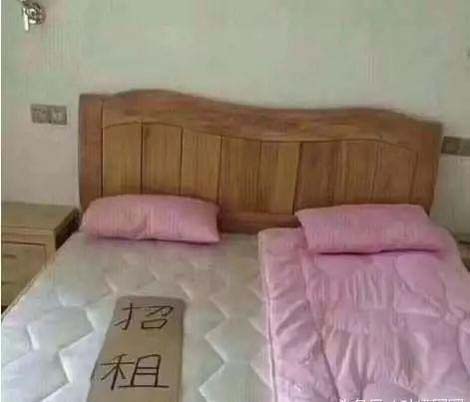 床位招租爆笑图 我想问对性别有要求吗爆笑gif搞笑图片