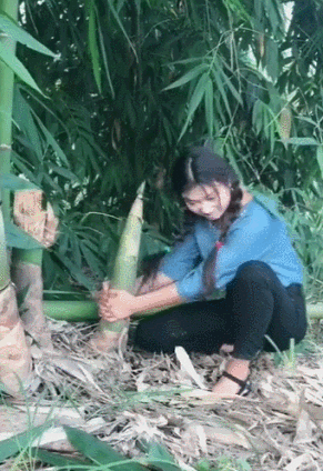 你别骗我，连我们农村人都不会这样挖笋的！爆笑gif动图爆笑gif搞笑图片