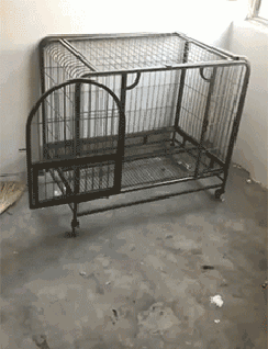 我的设定是一键拆家爆笑gif动图爆笑gif搞笑图片