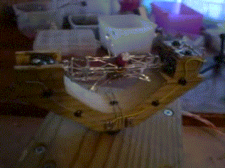 大脑开发10% 大脑开发50% 大脑开发3000%爆笑gif动图爆笑gif搞笑图片