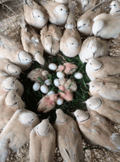 举办祭祀幼童的宗教活动竟然无一人迟到爆笑gif动图爆笑gif搞笑图片