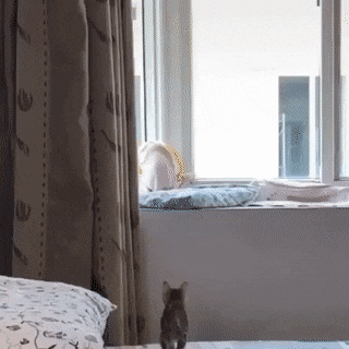 吓老子一跳爆笑gif动图爆笑gif搞笑图片