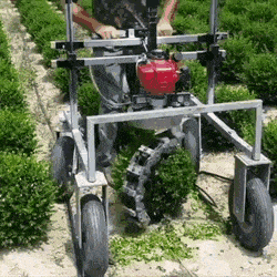 原来是这样弄的爆笑gif动图爆笑gif搞笑图片