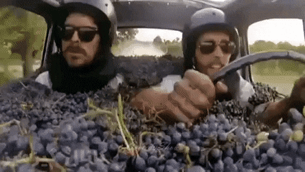 终于知道葡萄汁是怎么榨出来的了爆笑gif动图爆笑gif搞笑图片