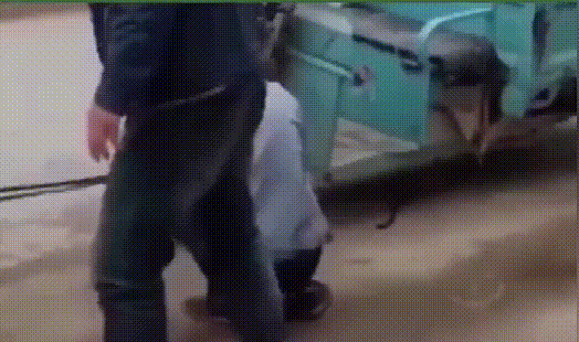 心碎的拖车经历爆笑gif动图爆笑gif搞笑图片