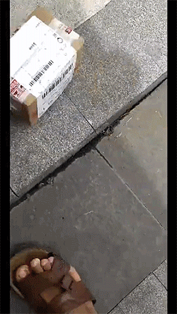 这是什么包裹？爆笑gif动图爆笑gif搞笑图片