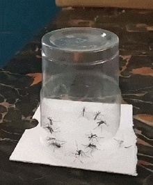 看着就觉得好爽。。爆笑gif动图爆笑gif搞笑图片