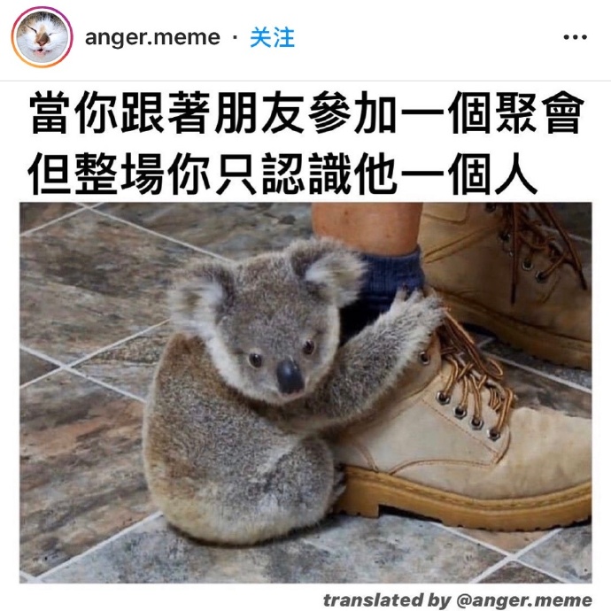 是怕生本人没错了爆笑gif搞笑图片